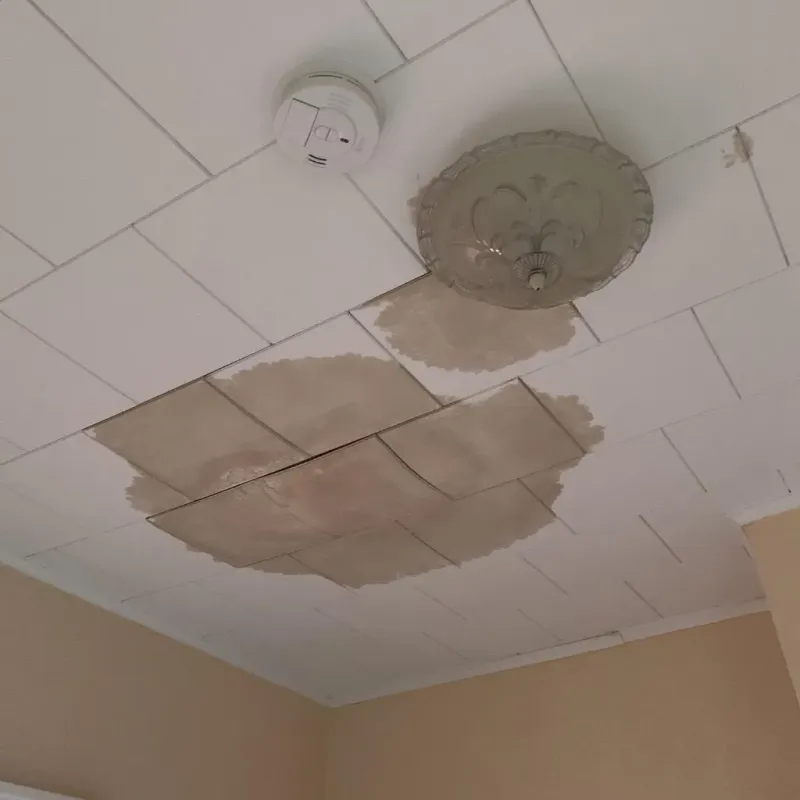 Ceiling Water Damage Repair in Wilmington, MA
