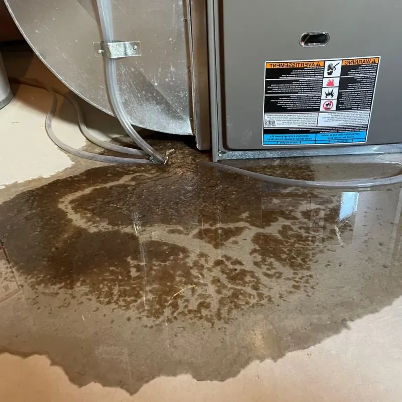 Pipe Burst and Leak Restoration in Wilmington, MA